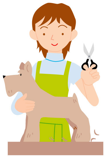 神戸にあるおしゃれなサロンで犬のトリミング